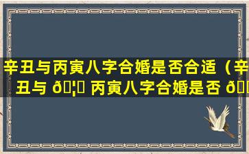 辛丑与丙寅八字合婚是否合适（辛丑与 🦊 丙寅八字合婚是否 🐘 合适婚姻）